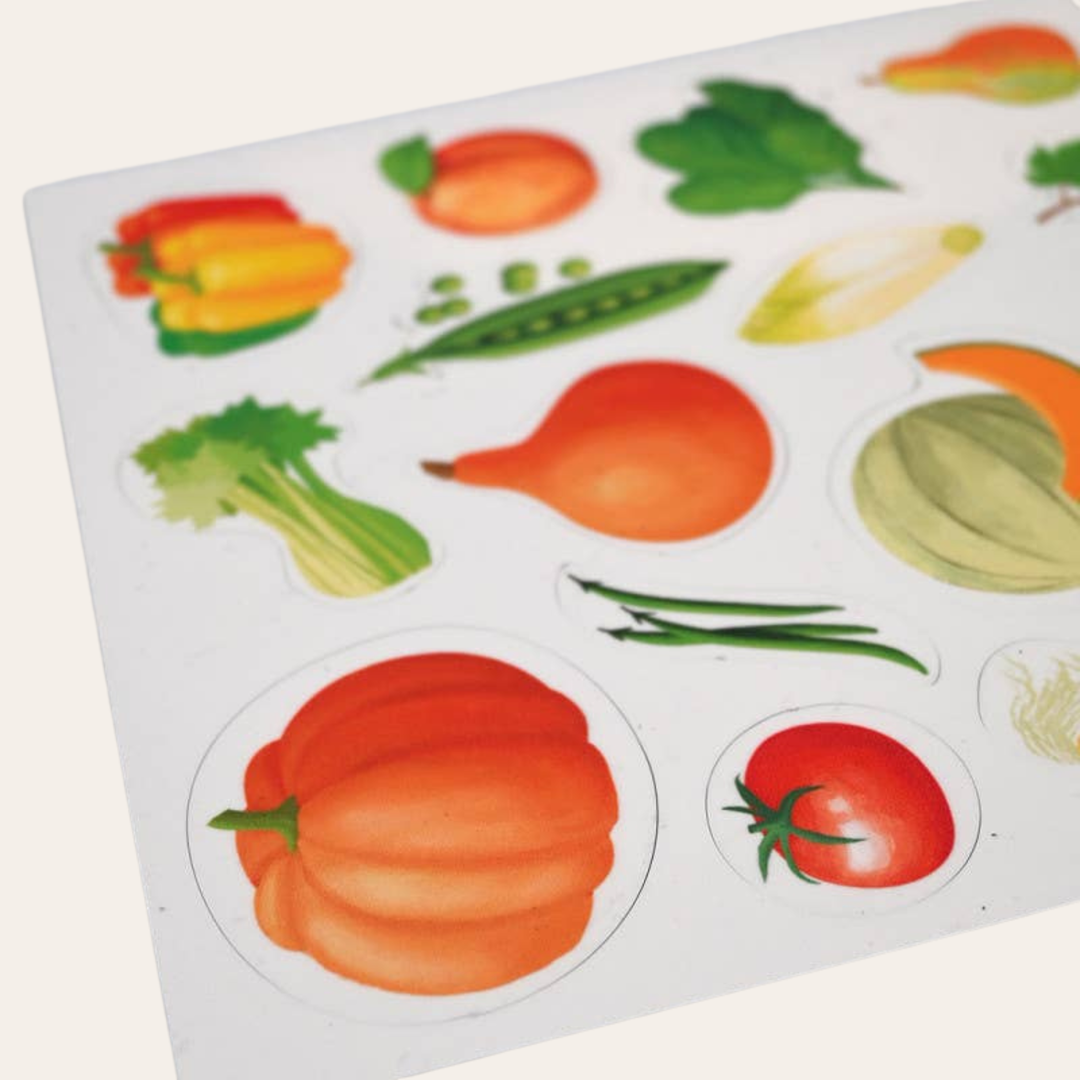 Joc magnetic Fructe&amp;Legume (EN), Ferflex, 114 piese, asociere, copii