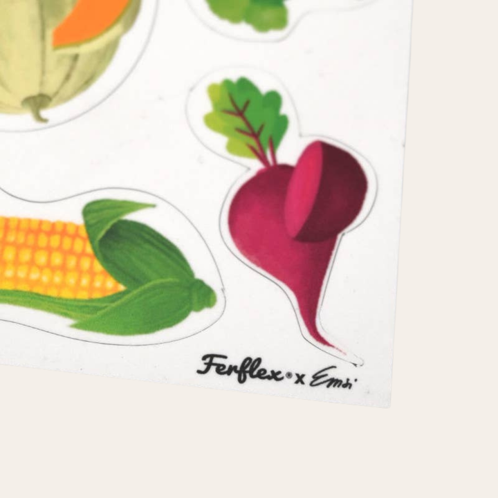 Joc magnetic Fructe&amp;Legume (EN), Ferflex, 114 piese, asociere, copii