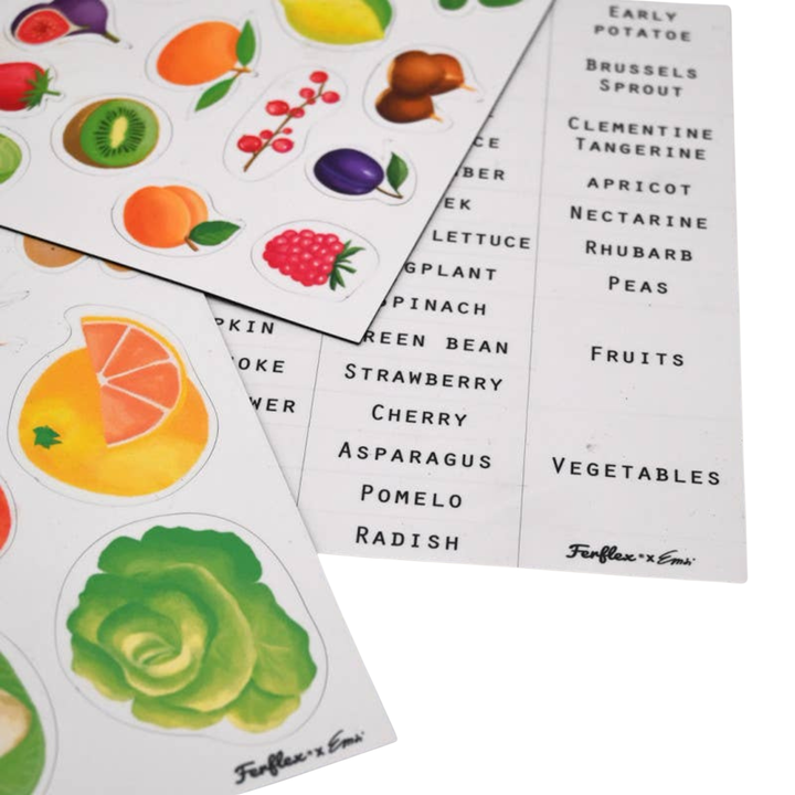 Joc magnetic Fructe&amp;Legume (EN), Ferflex, 114 piese, asociere, copii