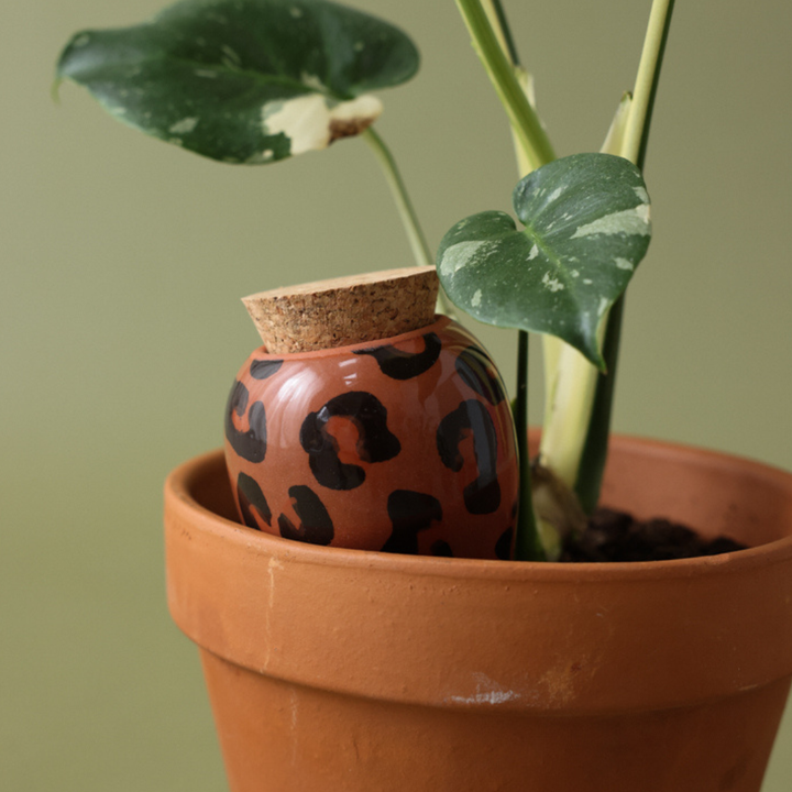 Vas de auto-udare plante Olla Maro leopard, Pepin, decorativ, ceramică, lut, 250 ml
