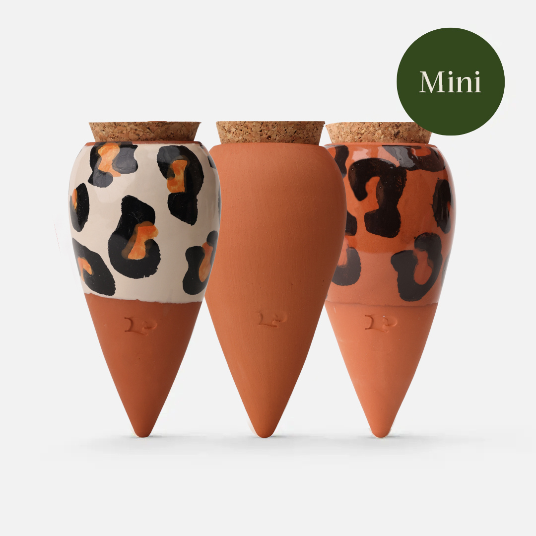 Set 3 Mini OLLA