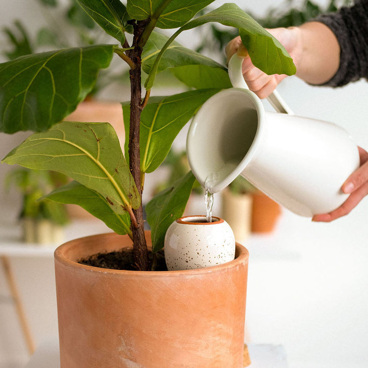 Vas de auto-udare plante Olla Alb pătat, Pepin, decorativ, ceramică, lut, 250 ml
