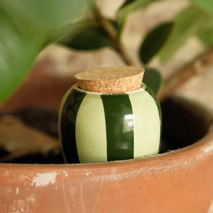 Vas de auto-udare plante Olla Verde, Pepin, decorativ, ceramică, lut, 250 ml