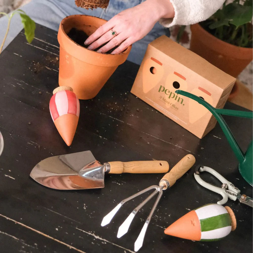 Set 3 Mini OLLA