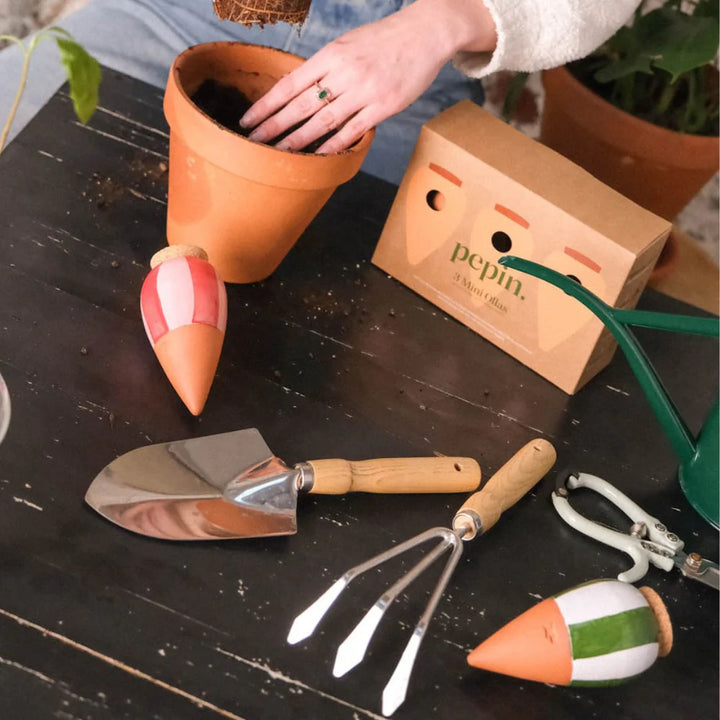 Set 3 Mini OLLA
