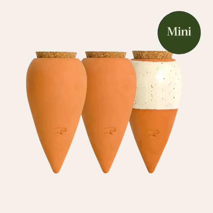 Set 3 Mini Ollas - Iconic