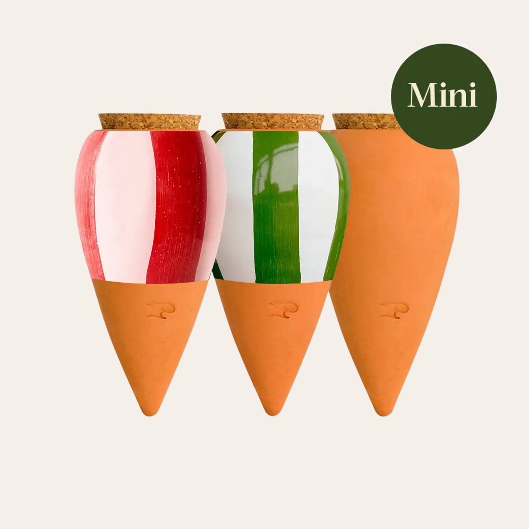 Set 3 Mini OLLA