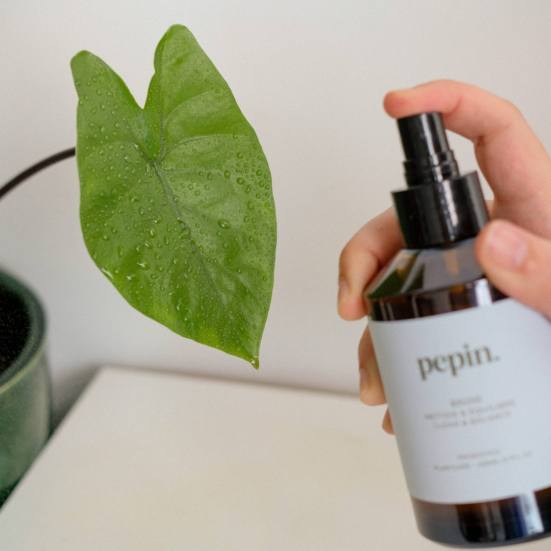 Spray curățare plante