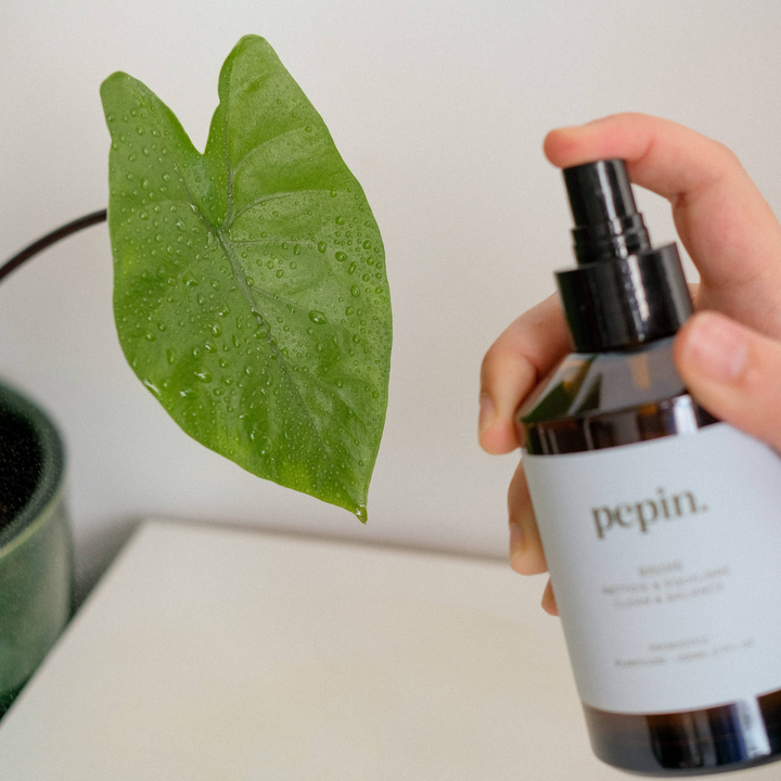 Spray curățare plante